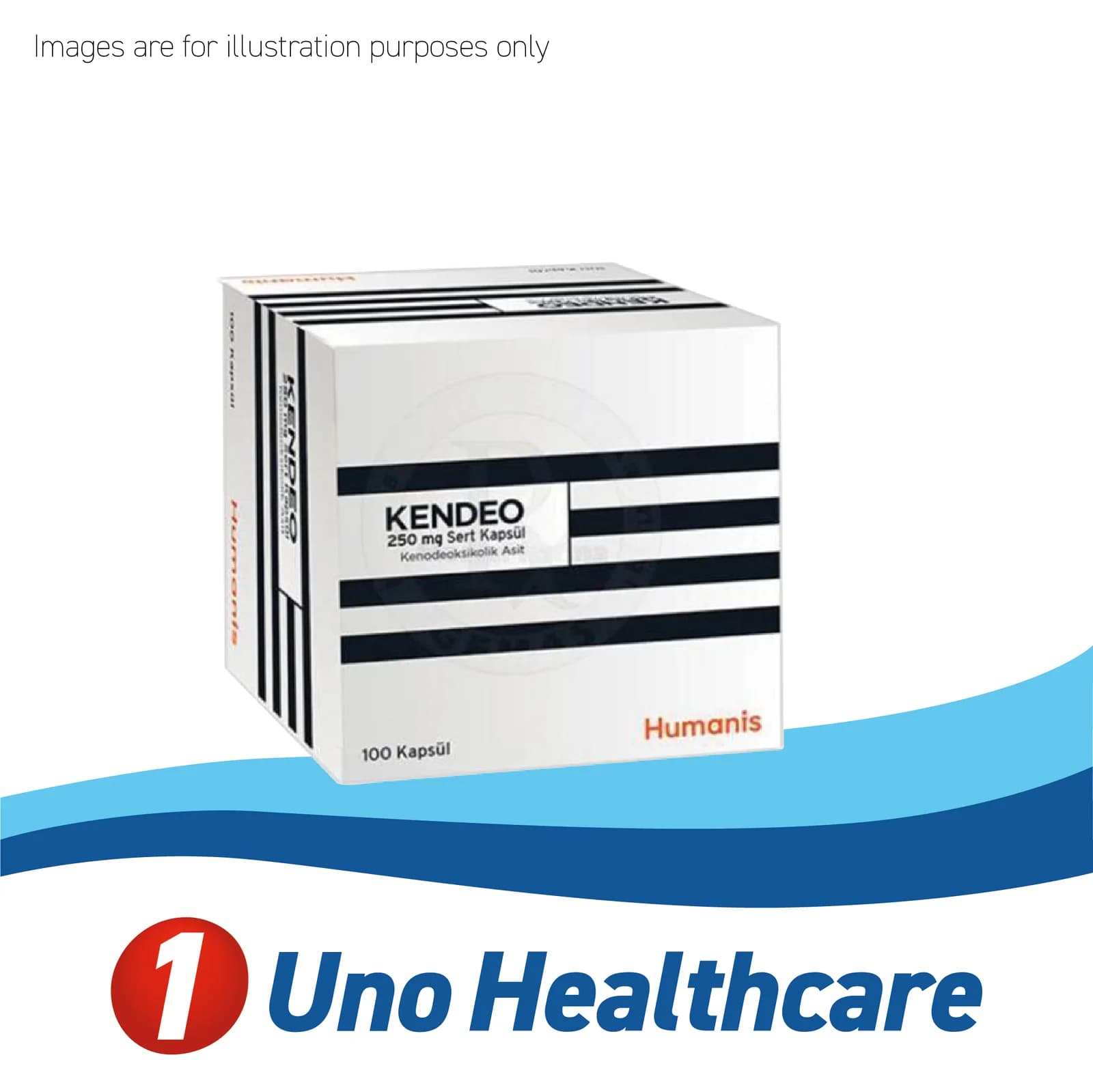 Kendeo (Chenodeoxycholic Acid) Chenodeoxycholic Acid 250mg – Gallstones